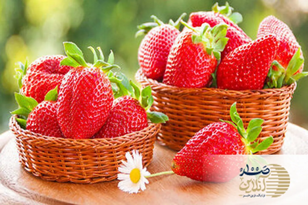 این میوه پیری را به تاخیر میاندازد آیا شما آن را امتحان کرده اید؟