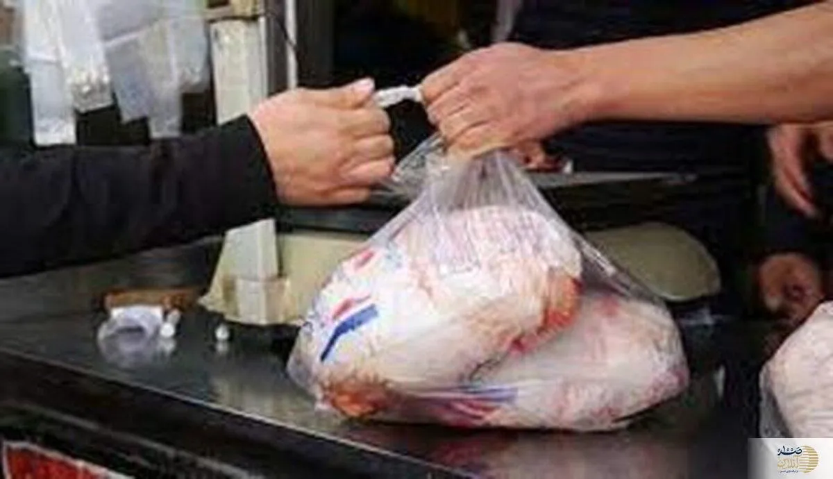 قیمت مرغ عجیب و باور نکردنی!