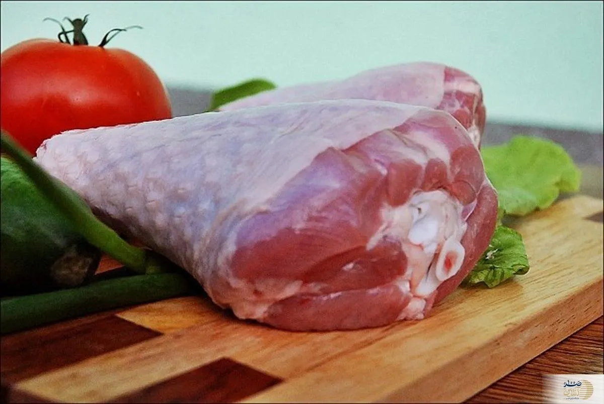 مصرف گوشت این پرنده شش برابر میگو فسفر دارد 