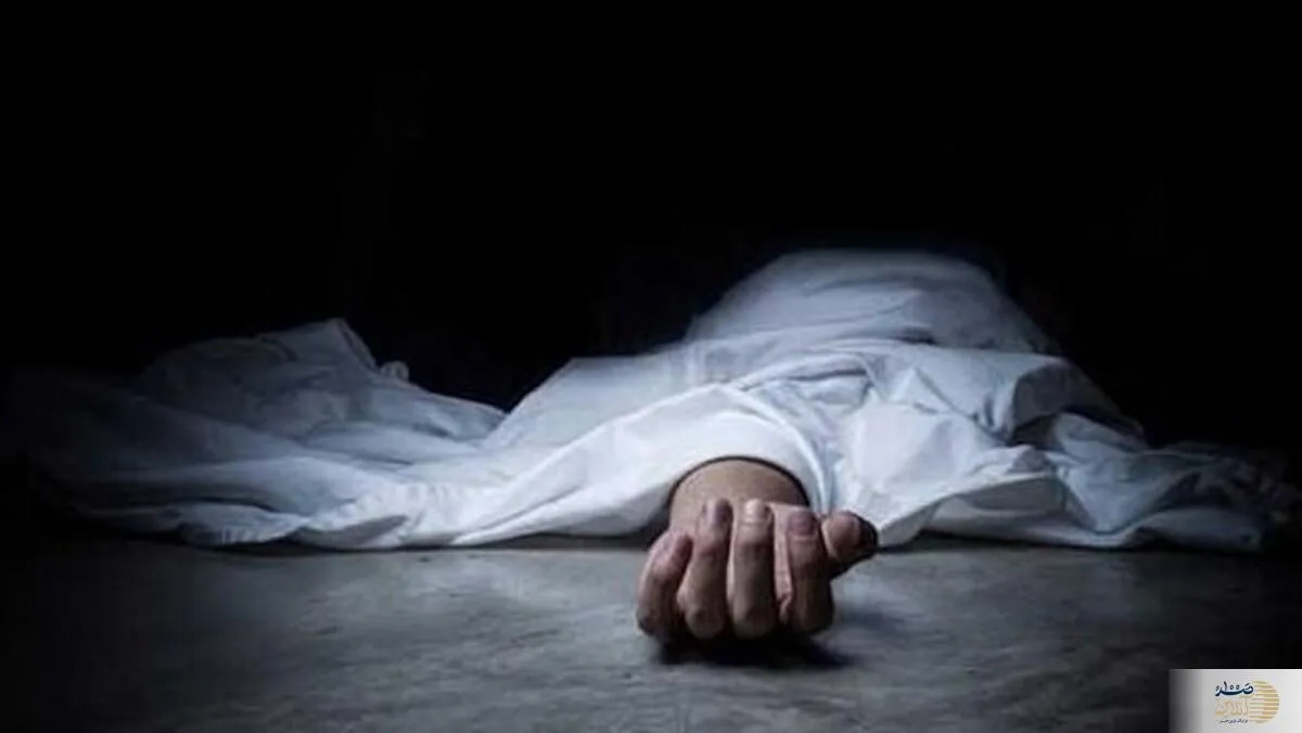حمله پهپادی رژیم صهیونیستی به جنوب لبنان/ سه تن شهید شدند