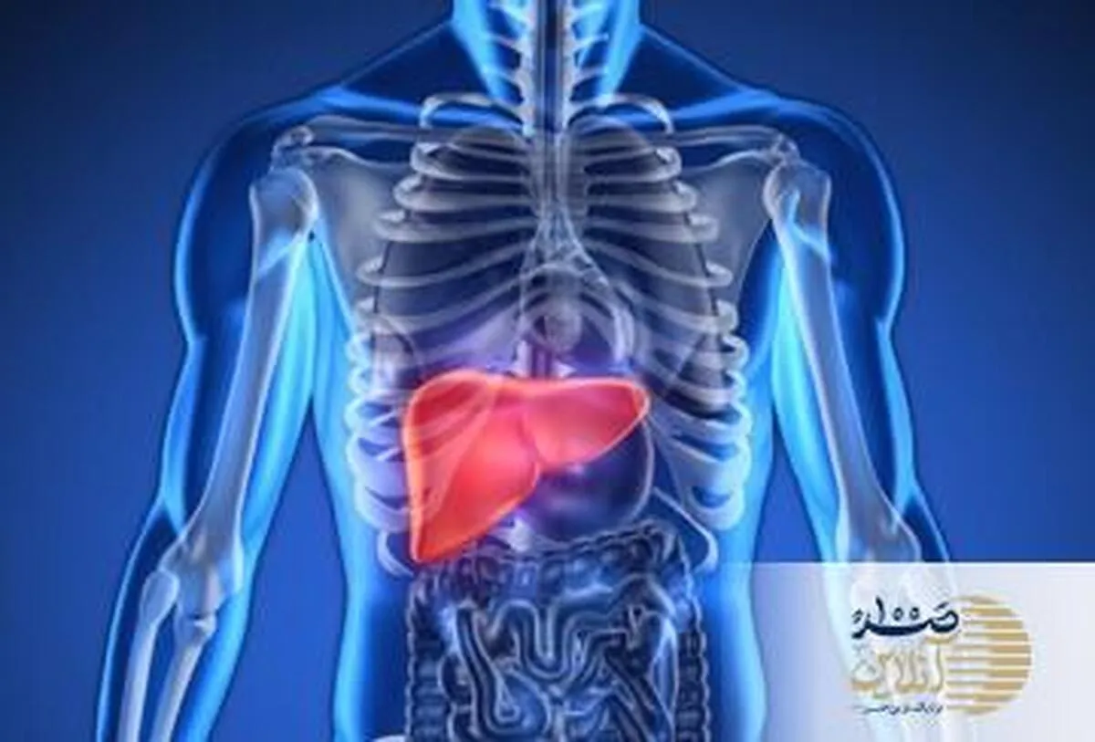 کبد چرب خود با این روش ساده و شگفت‌انگیز درمان کنید
