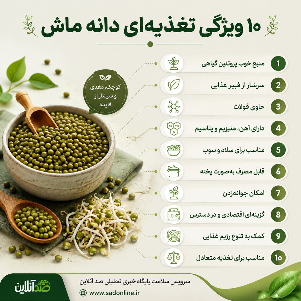 ماش؛ گنجینه پروتئین گیاهی در سفره ایرانی/ ۱۰ ویژگی تغذیه‌ای که باید بدانید