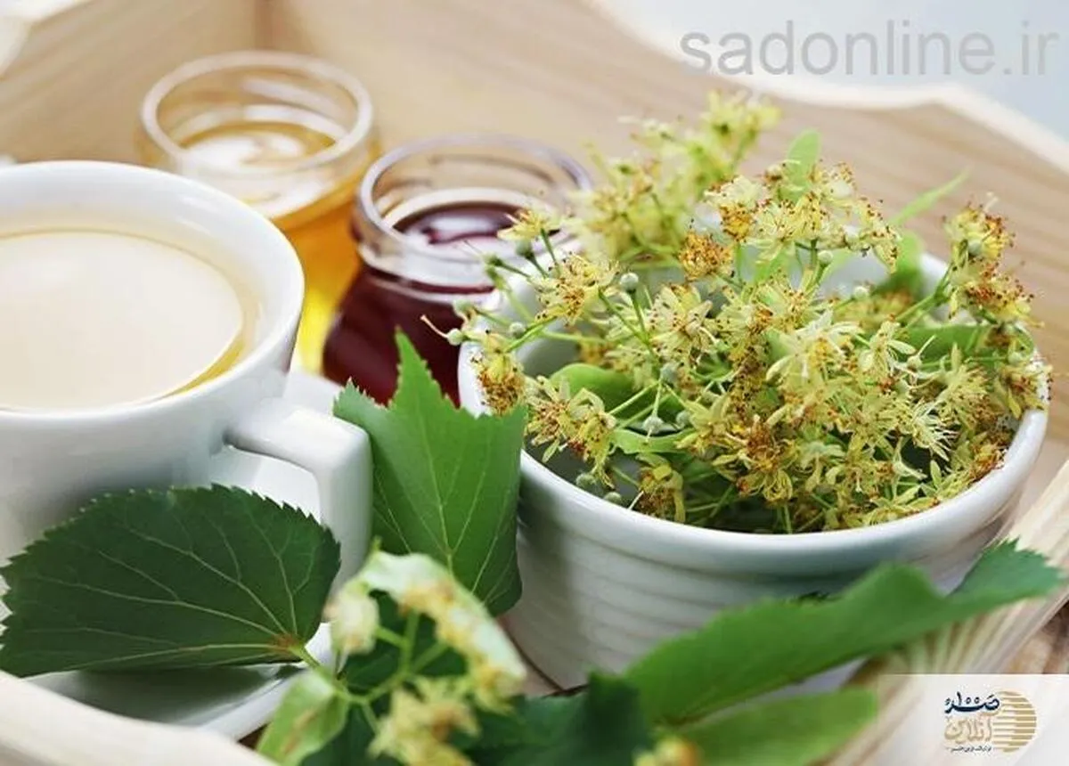 اکثر ریشه فشار خون کارمندان عصبی است با این گونه گیاهی آن را برای همیشه درمان کنید