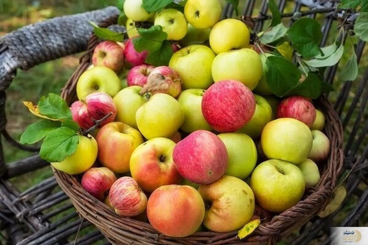 خوردن روزانه این میوه ضرر دارد؟
