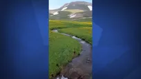 ببینید| طبیعت زیبای شهرستان اسکو آذربایجان شرقی همه را شگفت زده کرد