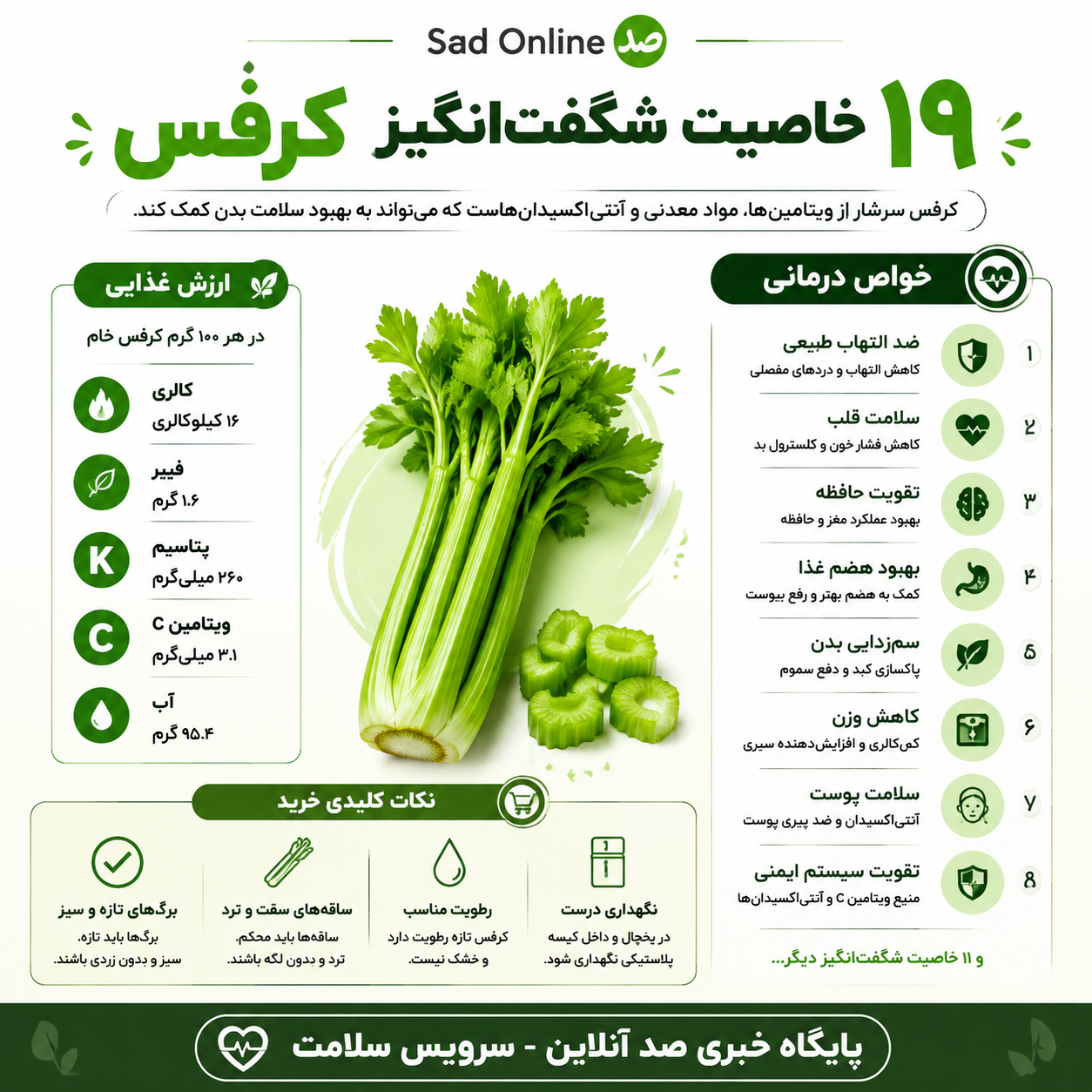 کرفس؛ اکسیر سبز در آشپزخانه شما / اینفوگرافیک اختصاصی «صد آنلاین» از خواص شگفتانگیز این سبزی کرفس؛ اکسیر سبز در آشپزخانه شما / اینفوگرافیک اختصاصی «صد آنلاین» از خواص شگفتانگیز این سبزی