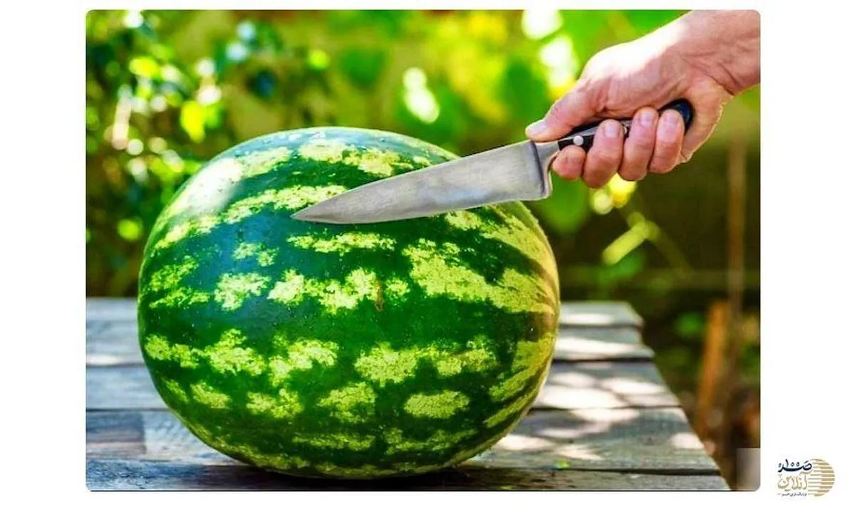 مهم/ قبل از خوردن هندوانه حتما این کار را انجام دهید