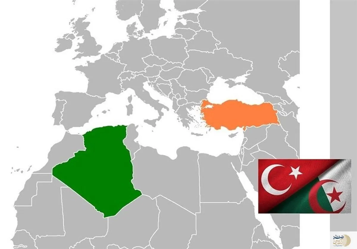 ترکیه در الجزایر بدنبال چیست؟