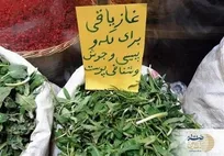 گیاهی که فقط در بهار می روید / رتبه اول در تصفیه خون + درمان بیماری های پوستی و تنظیم ترشحات غدد داخلی