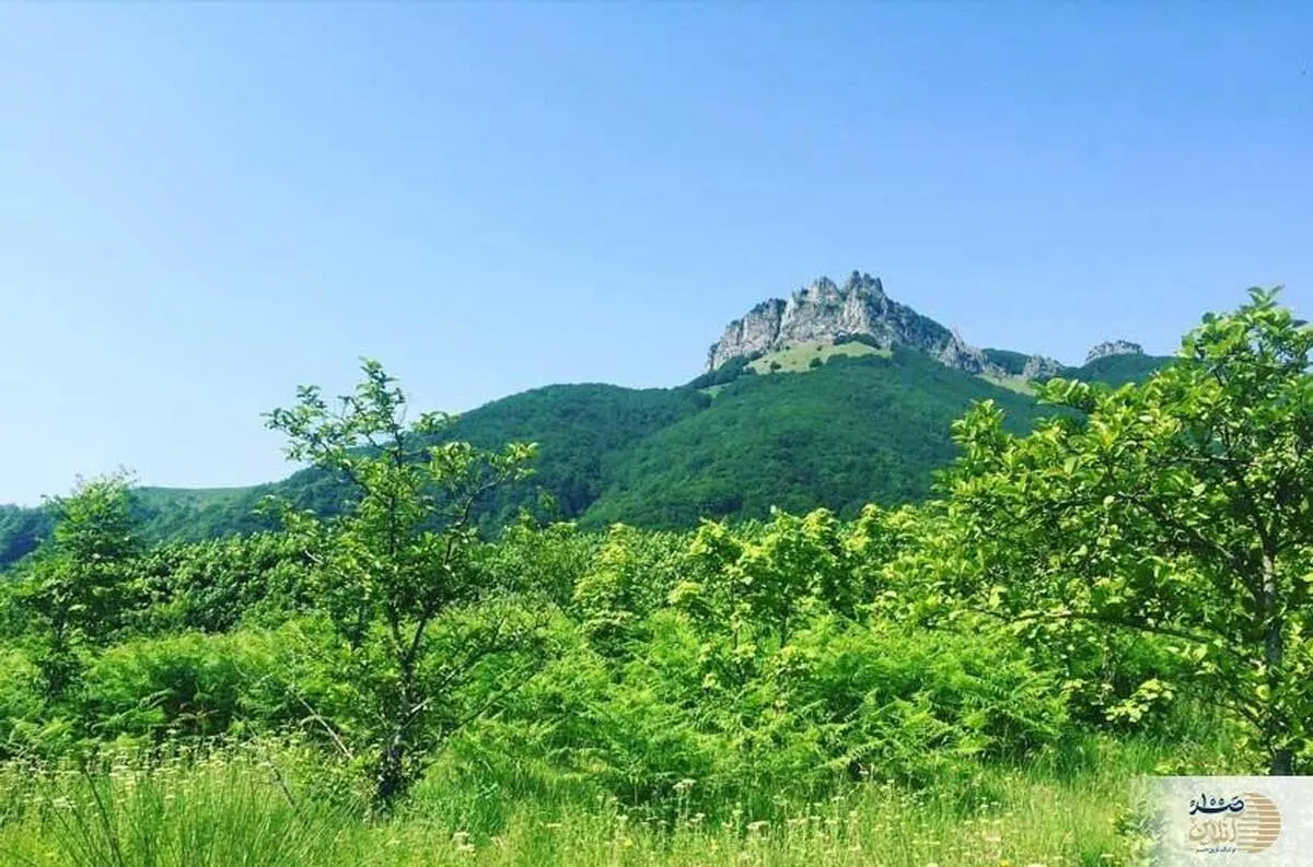 با یکی از ۳۰ آبشار بلند جهان در شمال ایران آشنا شوید