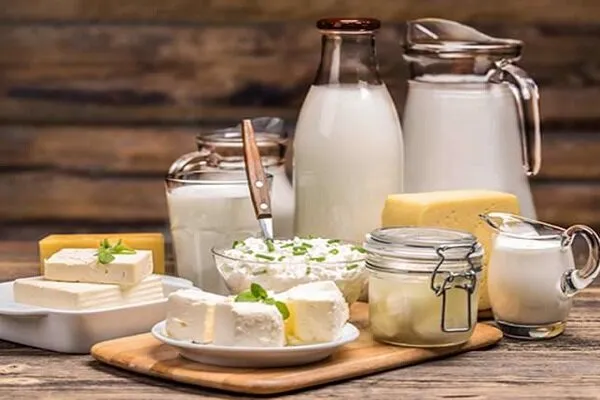 ۴ ماده لبنی مفید برای محافظت از روده بزرگ