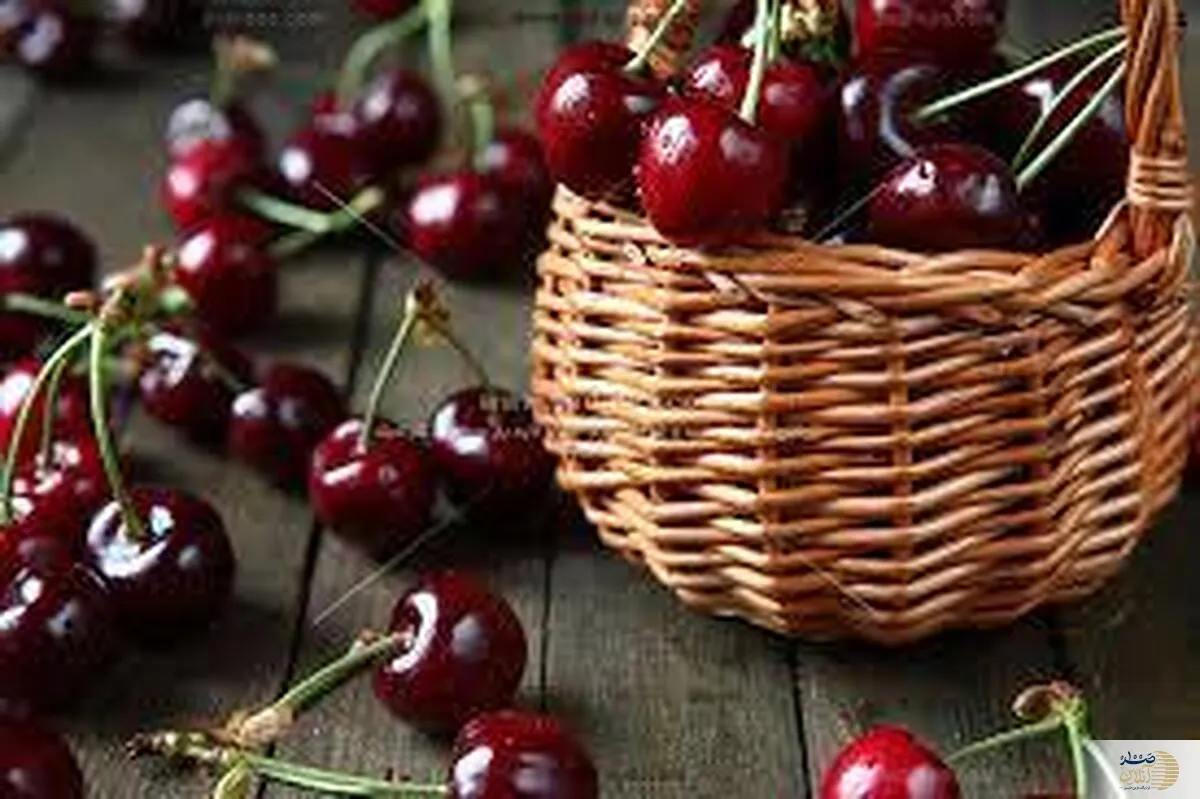 هسته این میوه خوشمزه تابستانه سمی است/ قورت ندهید