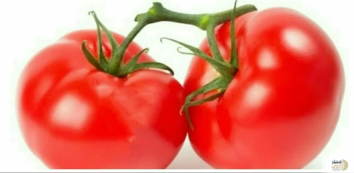افراد بالای 45 سال روزانه یک عدد باید از این صیفی به صورت خام بخورند