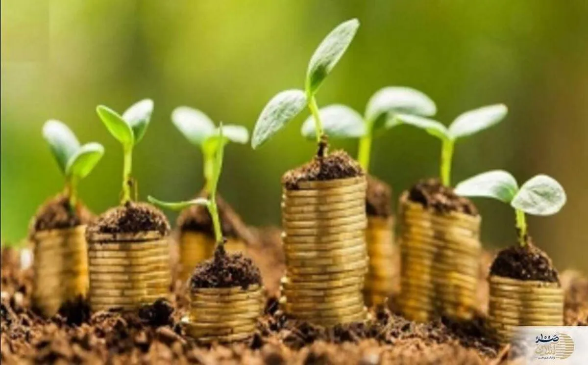 کسب روزی حلال چه اهمیتی دارد؟