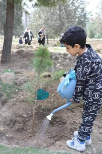پویش درختکاری
