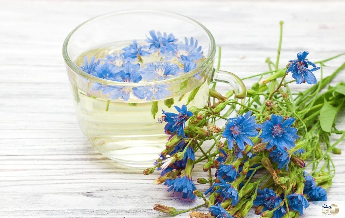 با این گیاه کبدتان را پاکسازی کنید