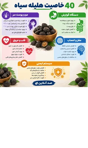 اکسیر شگفت‌انگیز طب سنتی؛ ۴۰ خاصیت معجزه‌آسا و ناشناخته «هلیله سیاه» / از معکوس‌کردن سفیدی مو تا تقویت حافظه و سم‌زدایی معده