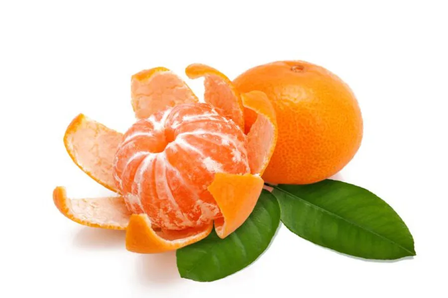 خواص نارنگی در پاییز 
