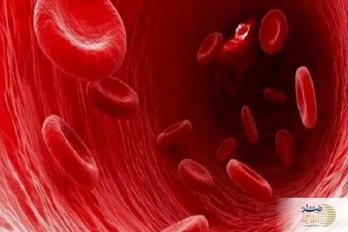 این مواد غذایی باعث غلظت خون می شود