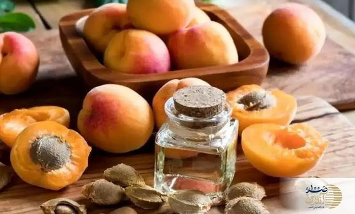 دشمن شماره 1 سلول‌های سرطانی را دور نندازید ! | با خورن این مغز سرطان و دور بزنید