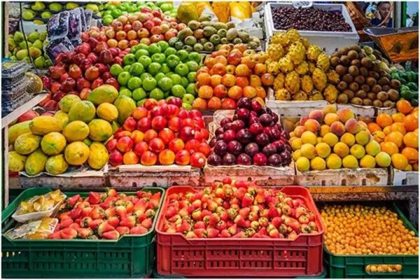 معمای ۴ میلیون ساله حل شد/ مغز انسان چگونه از ۳۰۰ به ۱۵۰۰ گرم رسید؟
