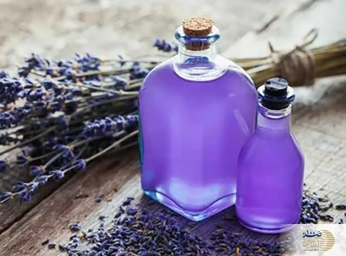 روغن این گیاه قاتل خشکی و اگزما، موخوره و شوره سر، بواسیر، رفع استرس و درمانگر بی‌خوابی است