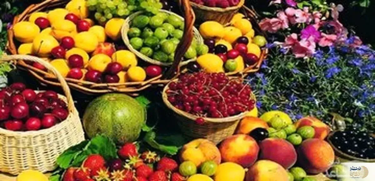 میوه را در این ساعت طلایی در ماه رمضان بخورید