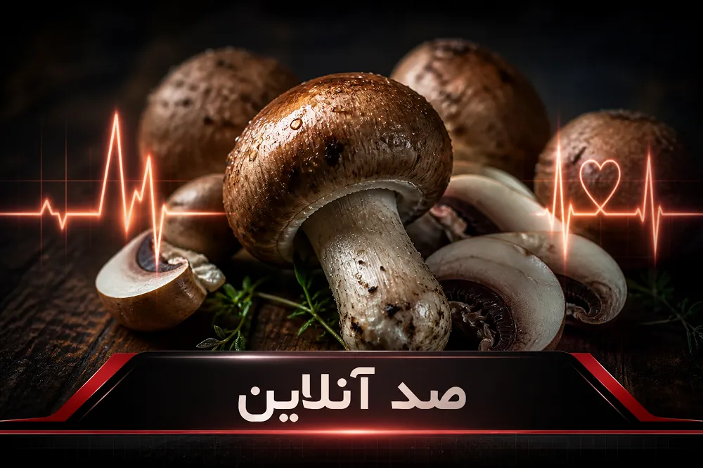 سکته قلبی