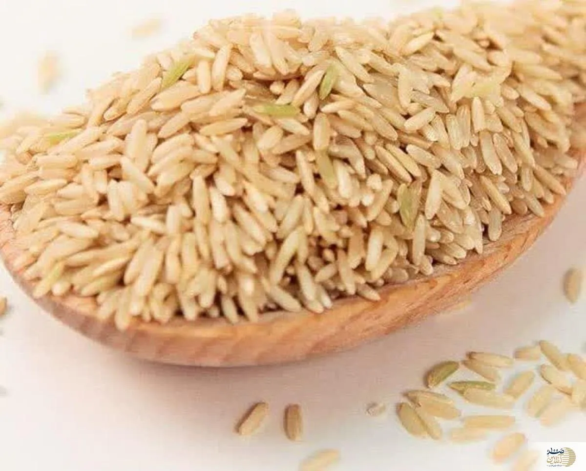 اگر فشار خون دارید برنج سبوس دار بخورید