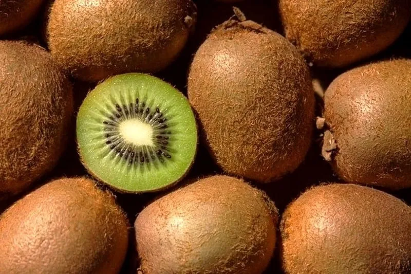 میوه