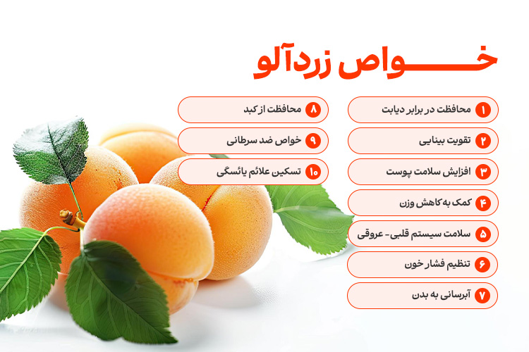 باورنکردنی است؛ این میوه تابستانی میتواند بدن شما را متحول کند! باورنکردنی است؛ این میوه تابستانی میتواند بدن شما را متحول کند!