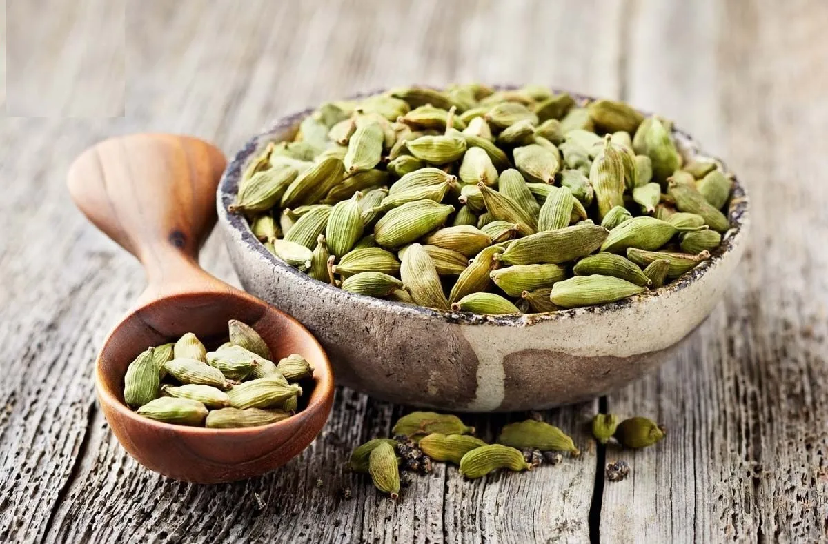 کنترل کلسترول، تسکین مشکلات قلبی و عروقی، و بهبود جریان خون با این گیاه