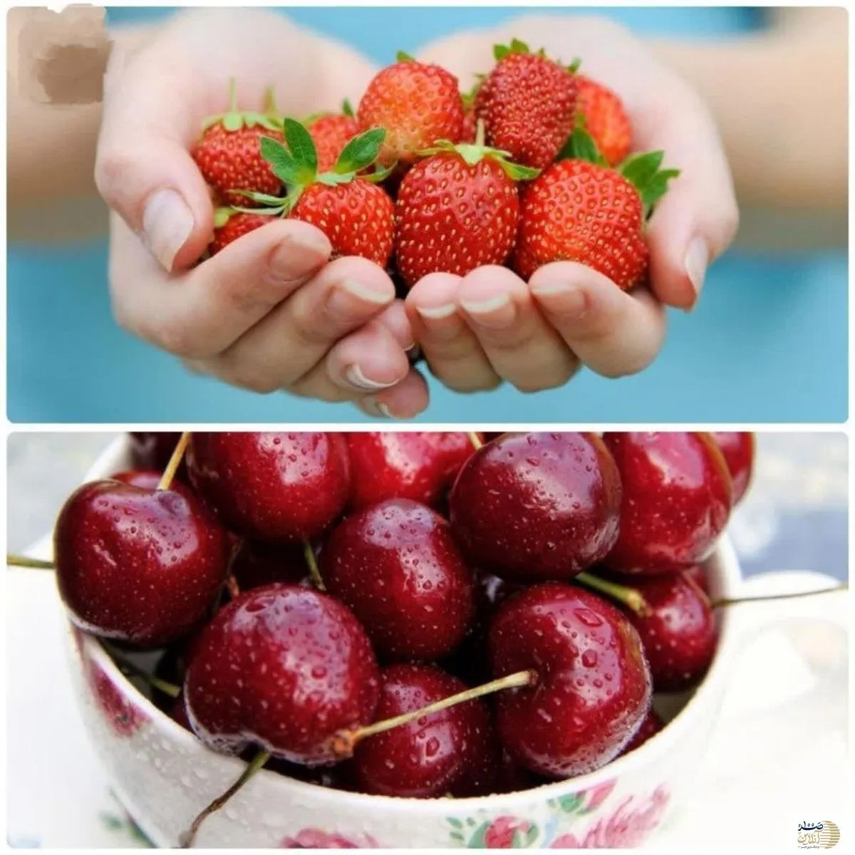 با این دو میوه کم خونی تان را درمان کنید