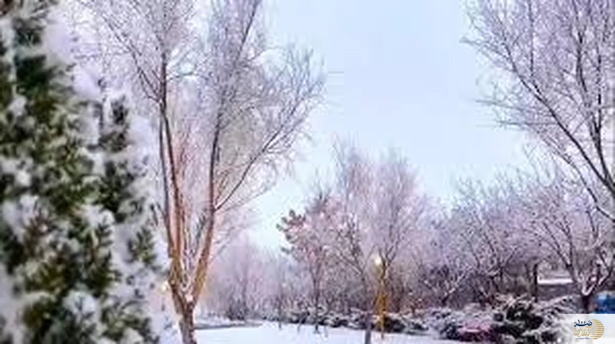بارش برف در این شهر فوتی داد