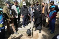 توزیع نهال مثمر در بوستان‌های منطقه 10