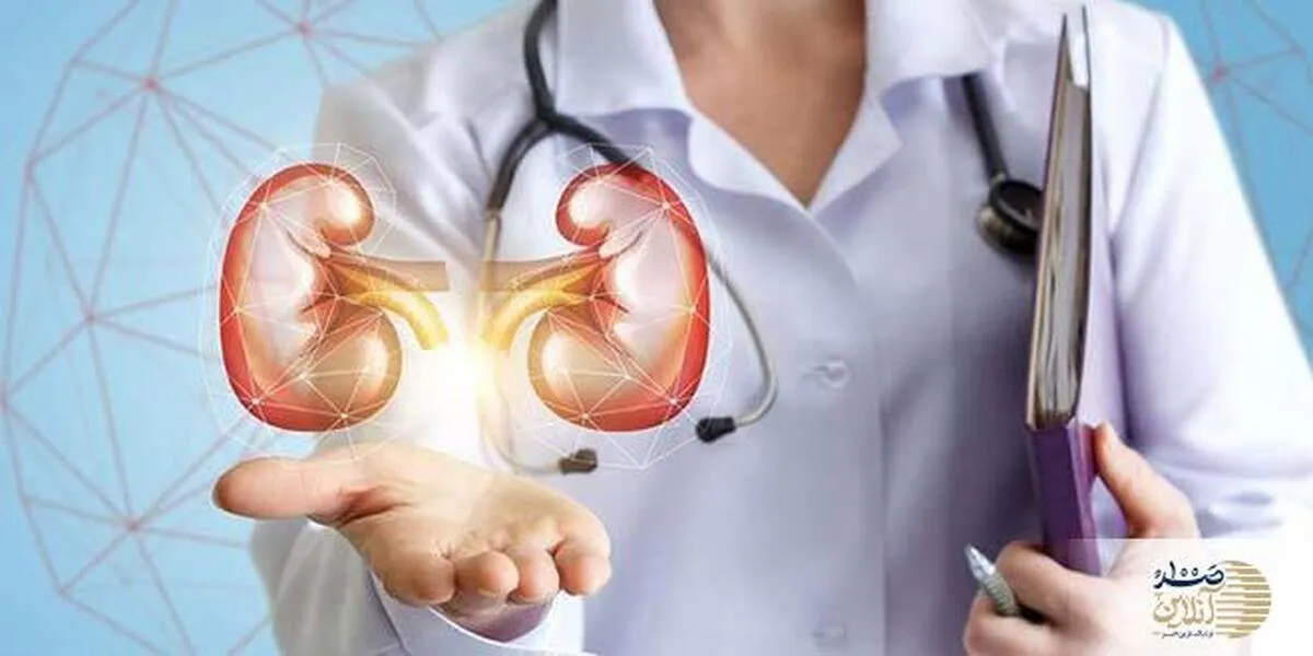 هشدار ! این درها در کلیه ها با افزایش سن دارای اهمیت زیادی است