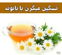 کل داروهای ضد میگرن یک طرف/ این گیاه پادشاه یک طرف / سه بار در روز میل شود