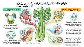 «معجزه در بشقاب شما؛ چرا پزشکانِ مخفی‌کار خوردنِ کرفس را توصیه نمی‌کنند؟ + اینفوگرافیک اختصاصیِ صد آنلاین»