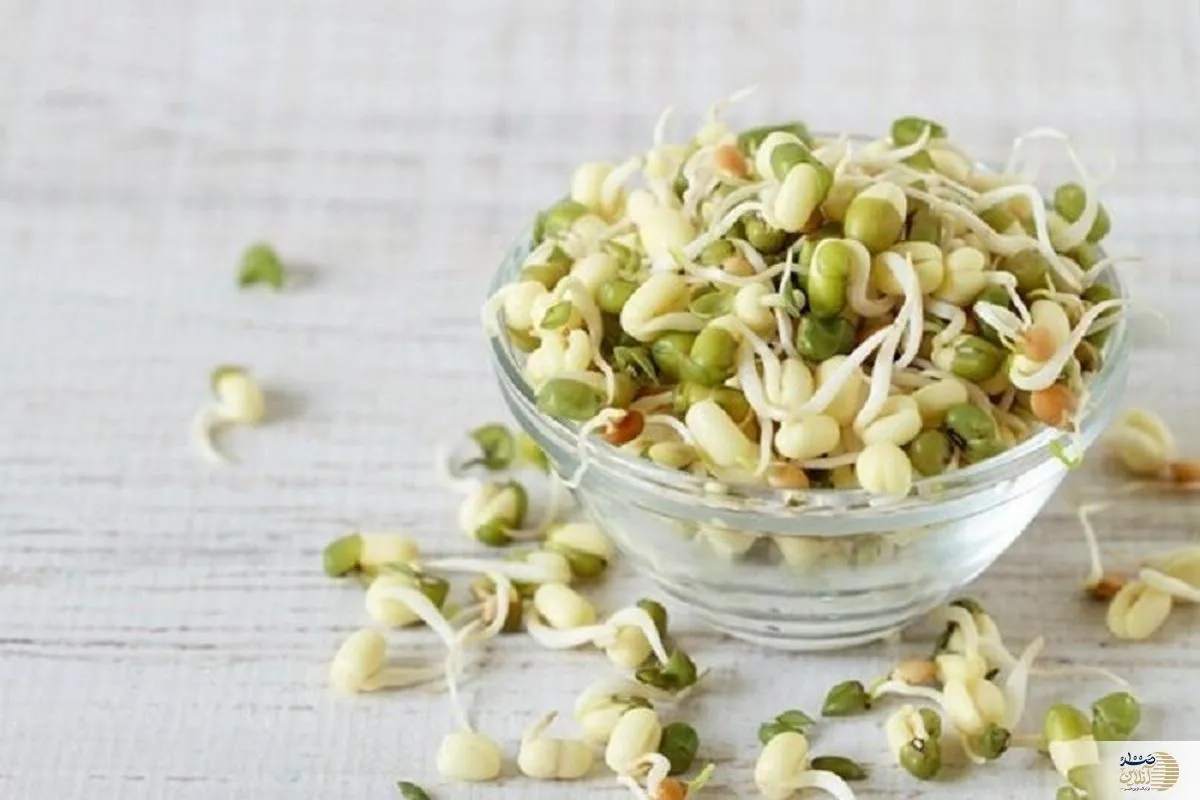از قدرت باورنکردنی این خوراکی غافل نشوید/  بمب انرژی در دسترس شماست!