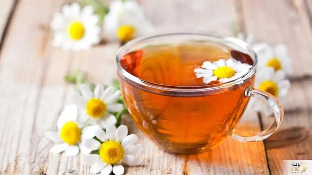 پایان بی‌خوابی‌های تابستانی با قدرت سردنوش‌ها