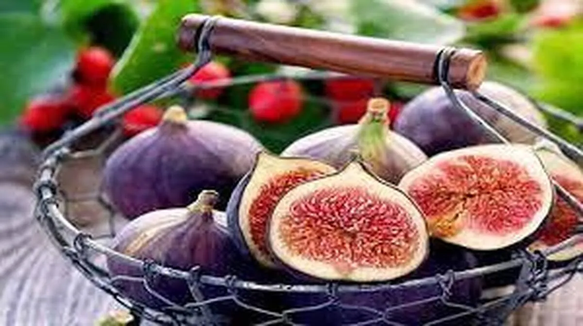 این میوه چاق کننده تب بر، ضدیبوست و تقویت کننده است