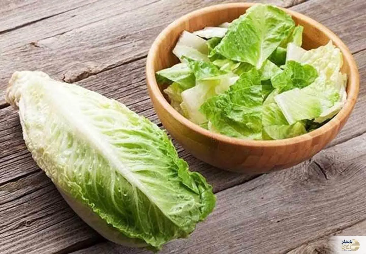 اینفوگرافیک/ با این خوراکی ها به داد گرمای بدنتان برسید