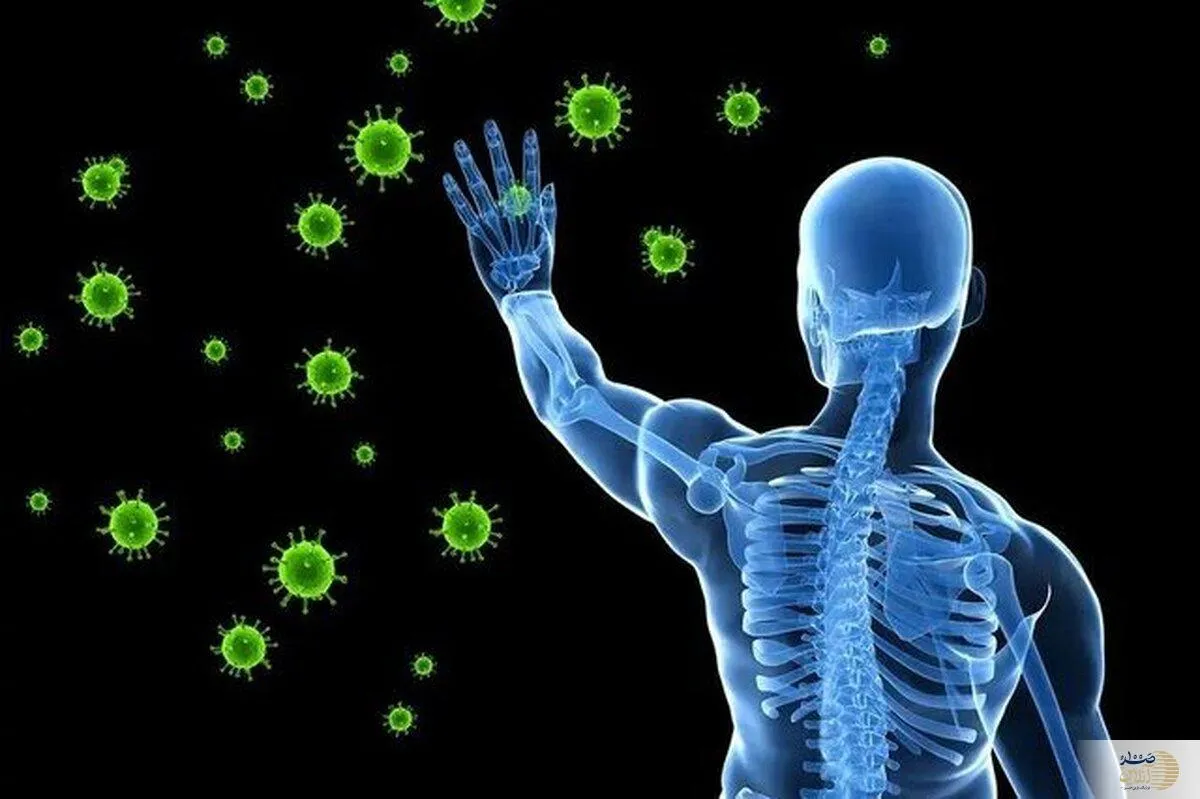 قند موجود در نوشابه‌ها و شیرینی‌ها به این دلیل مهم برای بدن سم خالص است