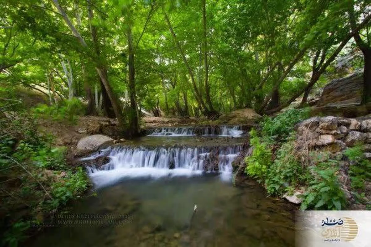 تنگه‌ای در میان جنگل‌های کوهستانی کامفیروز فارس / بهشت گمشده ایران