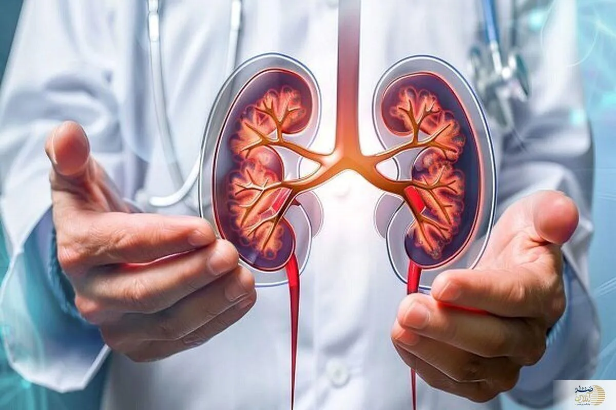 سنگ کلیه را با این روش ساده پودر کنید