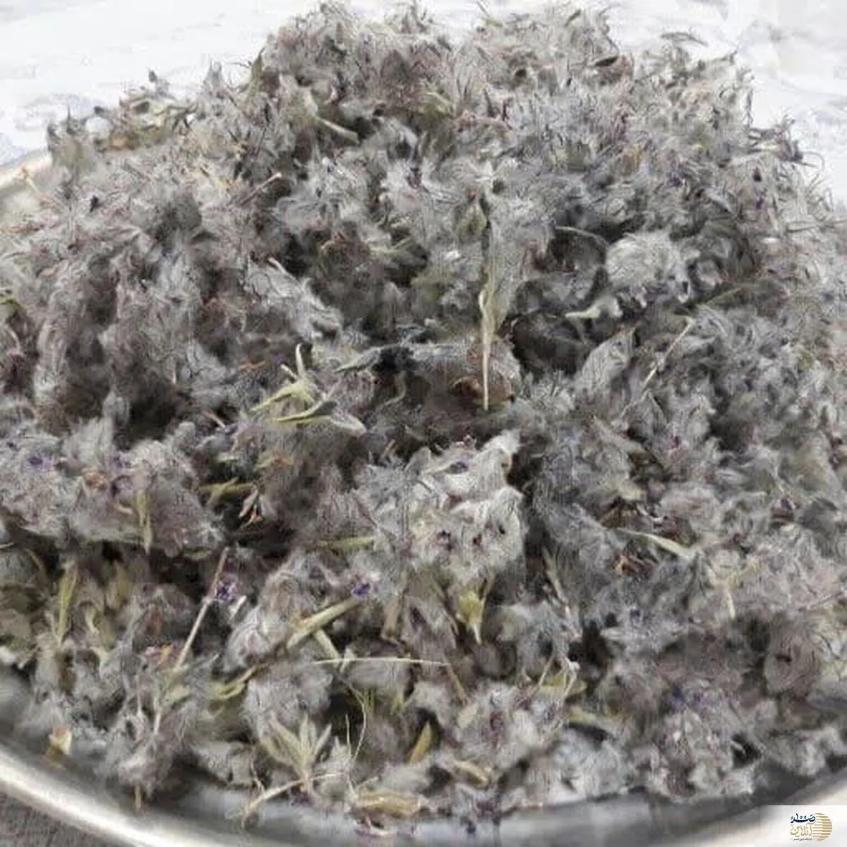 خواص بیشمار این نوع چای گیاهی
