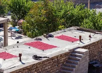 اینجا قرمزترین نقطه ایران است
