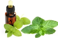 مصرف این روغن در ناشتای صبح مشکلات پوستی و جوش های سر سیاه و خارش را از بین می برد + رفع سردرد