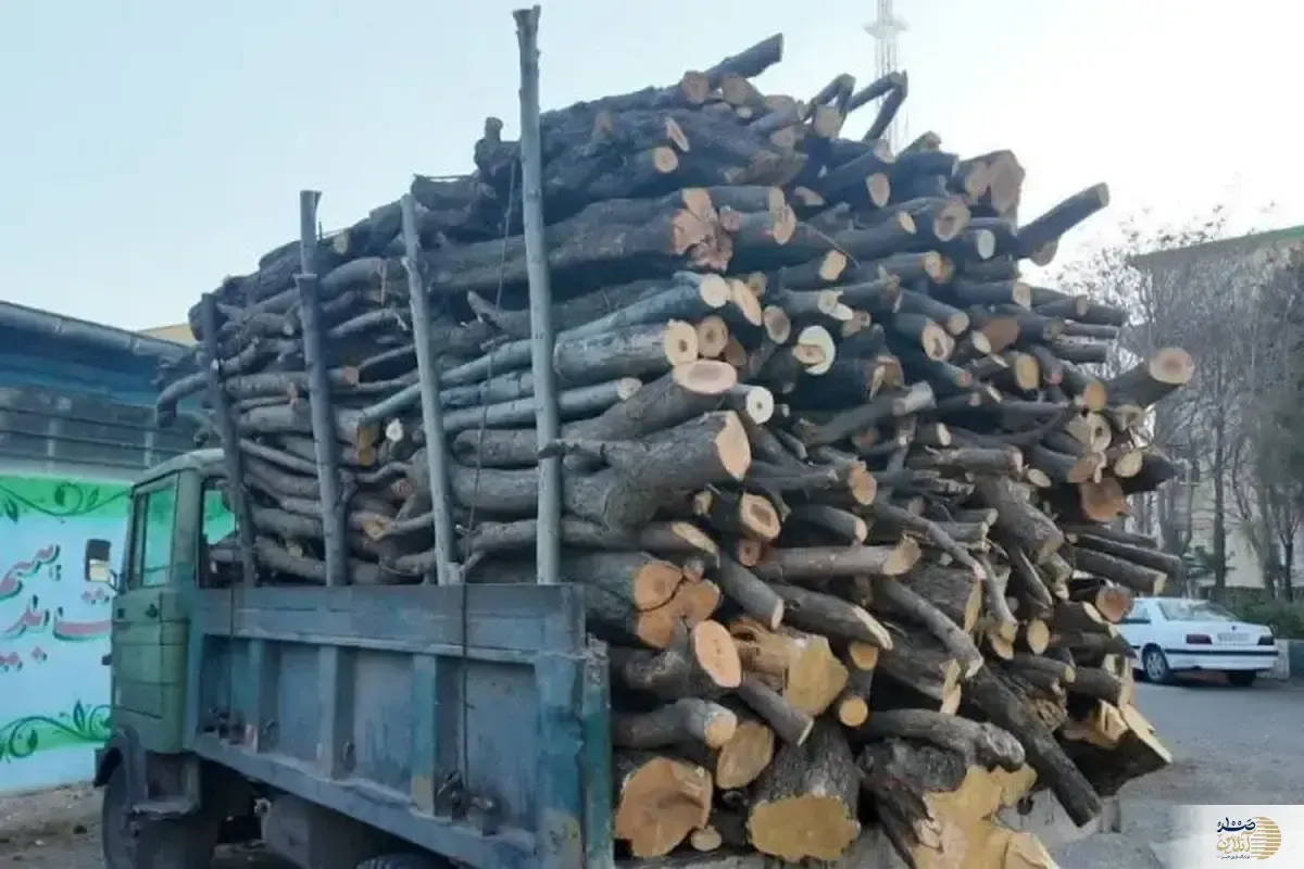 چهار تن هیزم جنگلی در اردبیل توقیف شد