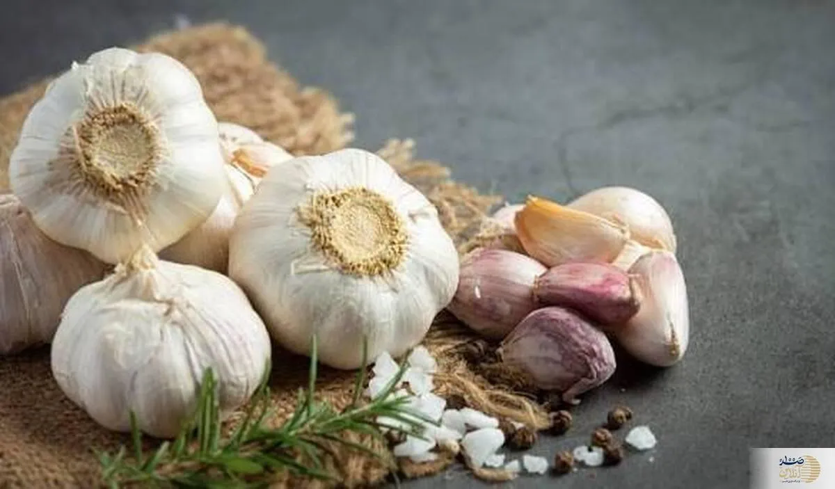 برای سلامتی سیر خام بهتر است یا سیر پخته؟